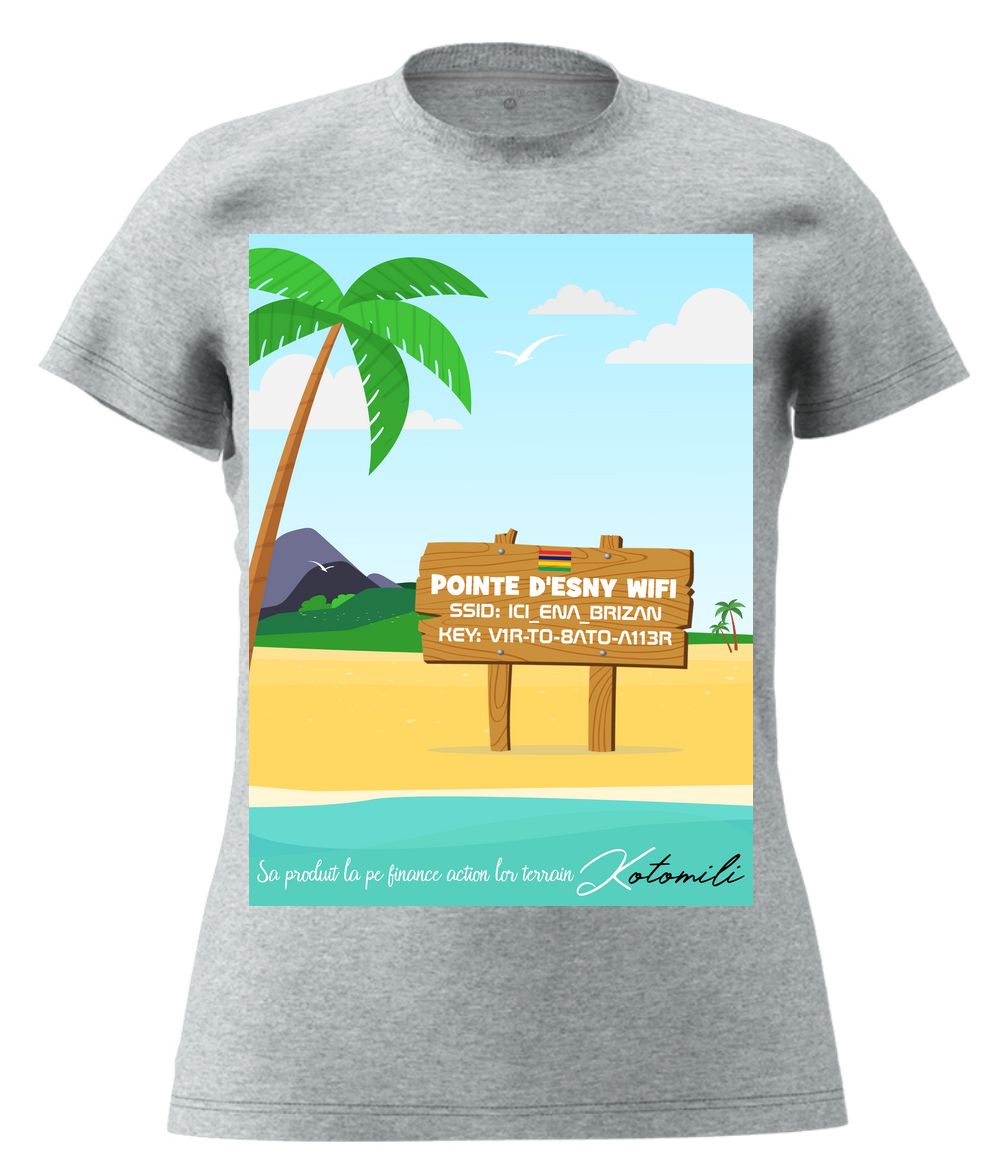 pointe-d-esny-wifi-womens-modern-fit-t-shirt-gris-chine