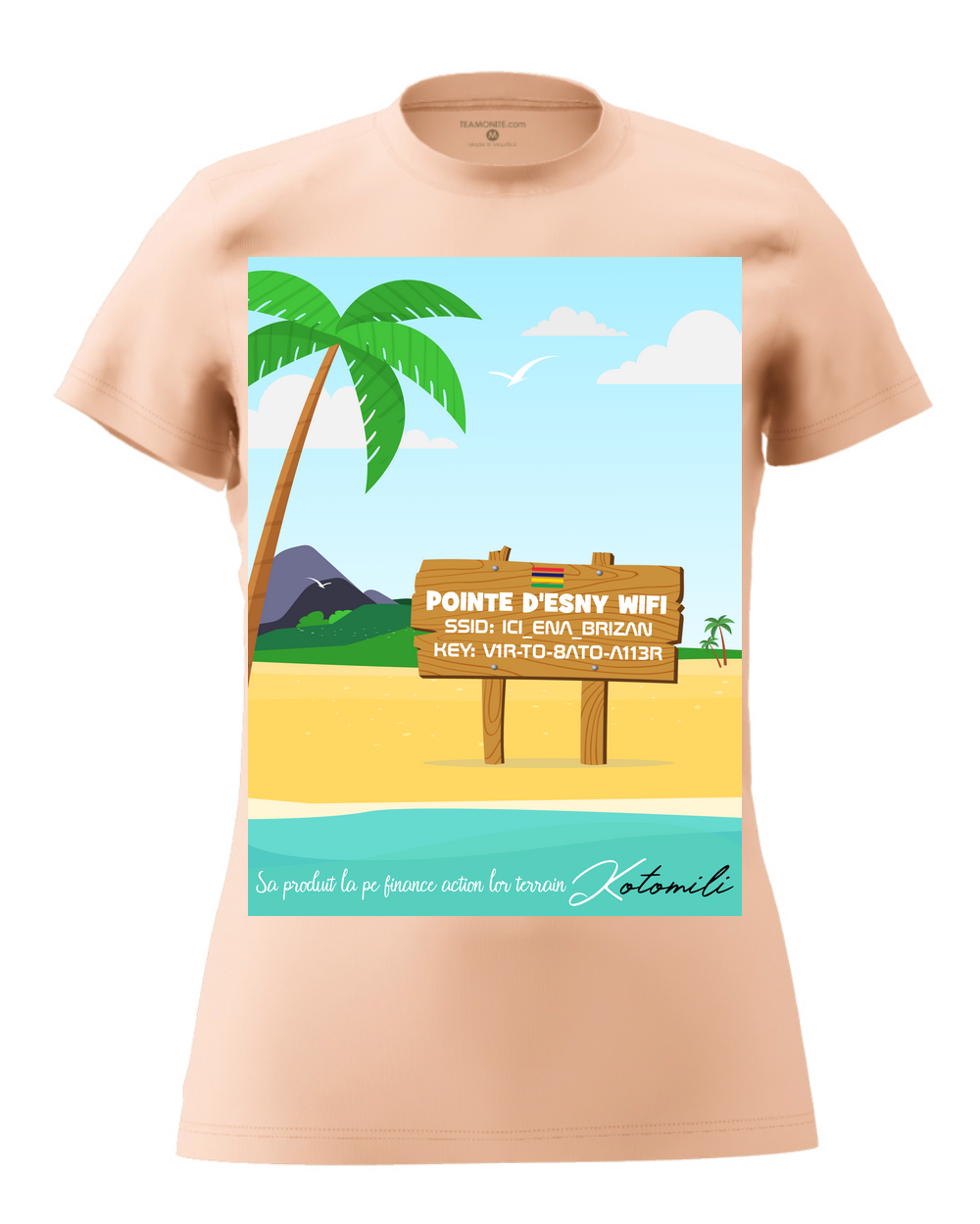 pointe-d-esny-wifi-womens-modern-fit-t-shirt-rose