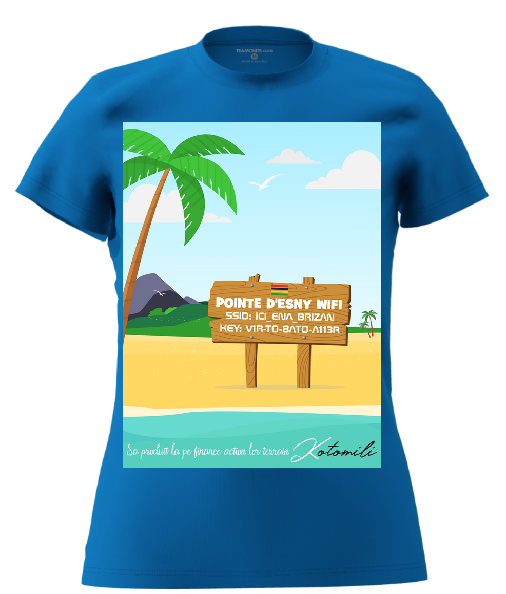 pointe-d-esny-wifi-womens-modern-fit-t-shirt-royal-blue